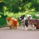 Sreya Maria G. avatar