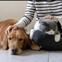 Victor Yamil P. avatar