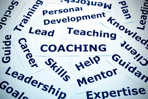 Professional Growth & Transition Services/Coaching